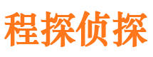 卫东市侦探调查公司